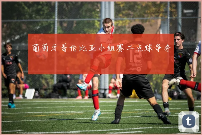 葡萄牙哥伦比亚小组赛二点球争夺
