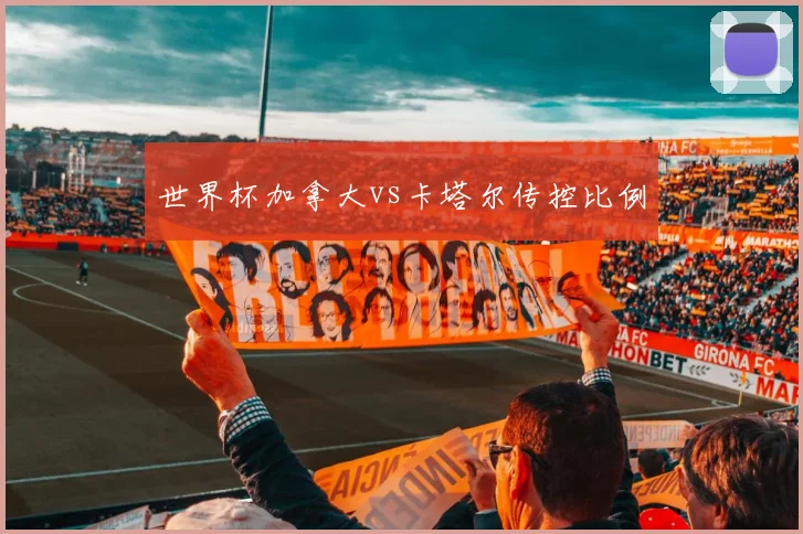 世界杯加拿大vs卡塔尔传控比例